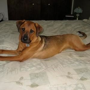 Meet your Posher, Susan